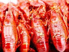 Frozen Cooked Whole Crawfish/Crayfish ( Procambarus clarckii ) in Cajun Flavor