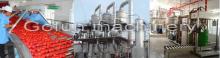 Turn key solution for natural vegetable juice production line/plant/machine