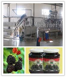 The reliable supplier for vegetable juice concentrate production line/plant/machine