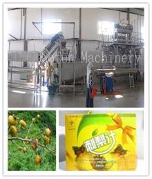 Advanced designed fruit processing line/plant/machine