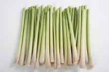 OFFER FOR LEMONGRASS BEST QUALITY FROM VIETNAM
