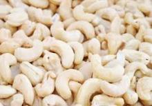 Cashew nuts for sale