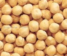Hezelnuts for sale