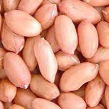 Peanuts for sale