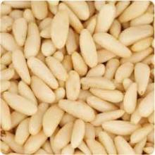 Pine nuts for sale