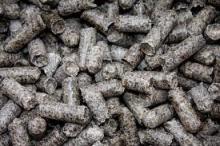 Beets pulp animal feed for sale