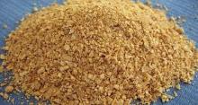soybean meal for sale