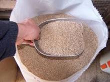 Starter chicken feed for sale