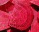  Beet root  Red  100%  Natural  Extract From  Beet root,