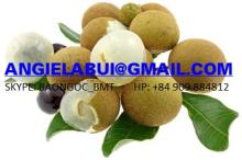 FROZEN LONGAN, FRESH LONGAN, LONGAN FRUIT
