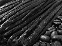 Vanilla Beans