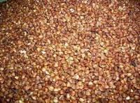 Roasted Buckwheats