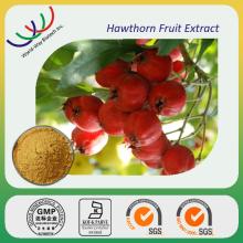 hawthorn extract