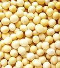 Soybean extract