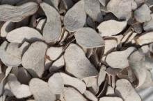 sweet potato chip feed grade for sale