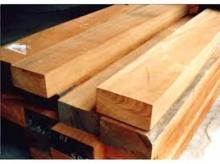 Mahoganies sawn logs