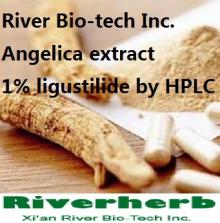 Natural Angelica extract with Liguistilide/ Ferulic acid