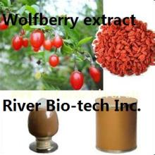 Natural Wolfberry (  Goji )  extract  with 50% Polysaccharides