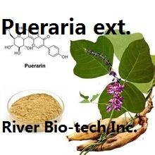 Natural Kudzu Root extract with 98% Puerarin by HPLC