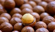 MARCADAMIA NUTS
