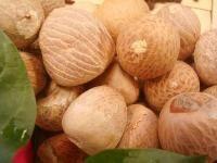 Whole and Split Betel and Areca Nuts