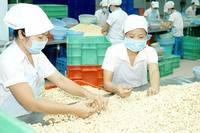 Cashew Nuts