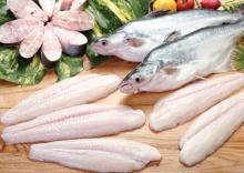 Pangasius
