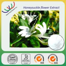 High quality honeysuckle extract