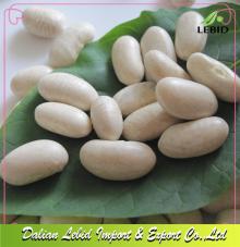 Dried White Kidney Beans Spanish Type