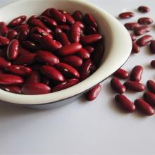 Dry Dark Red Kidney Beans/Long Red Wholesale Beans