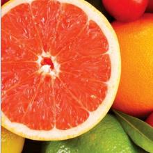  Grapefruit  Extract GMP Manufacturer