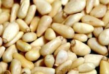 Pine nuts