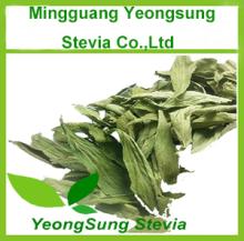Pure Natural Stevia Leaf