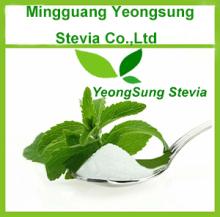 Pure natural Stevia powder
