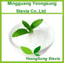 100% natural plant extract stevia powder