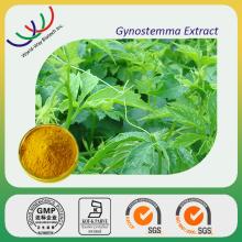 gynostemma extract