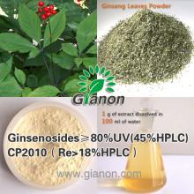 Panax Ginseng Leaf Extract
