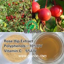 Rose Hip Extract