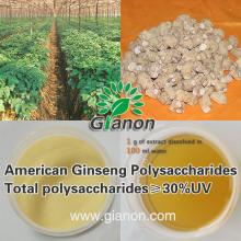 American Ginseng Polysaccharides