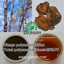Chaga polysaccharides
