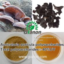 Auricularia auricula polysaccharides
