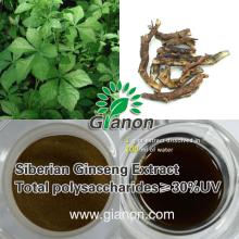 Acanthopanax senticosus polysaccharide