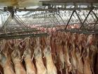 Frozen Lamb Meat