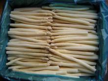  IQF   White   Asparagus  Whole