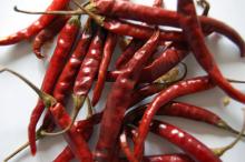 Fresh and  Dried   Red   Hot   Chili  pepper