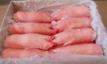 Frozen   Pork   Leg 