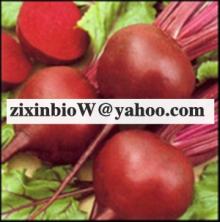 Beet Red