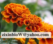 Lutein
