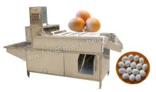 Boiled Chicken Egg  Shelling   Machine 