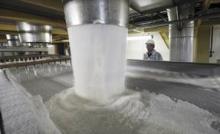  refined   beet s  sugar  on sal